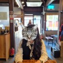 방도로 | [루이비통방도] 모노그램 컨피덴셜 방도