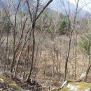 양호농장 이미지