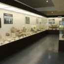 덕소자연사박물관 이미지