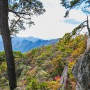 우면산5-13 이미지