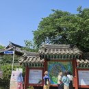 하회마을부터 찜닭골목까지…안동에 번진 '정상회담 특수' 이미지