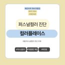 3443 | [서울/역삼동] 컬러플레이스 퍼스널컬러진단 후기