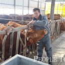 대한가축약품 이미지