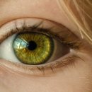 얼티밋 크로스핏 방배점 이미지