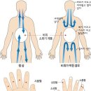 체했을때 따는 손가락은 따로있다 이미지