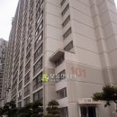 황령대로 319번가길 이미지