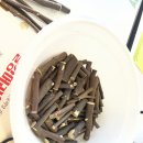 도시와 공간을 잇는 인문 기행 | 도시형 농촌체험 시골노리터 순천용오름 농촌체험휴양마을