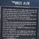 ▣이틀간 내린 폭설속에 찿은 설악동 설경 &amp; 횡성: 동막골 태기산 이미지