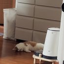 7月