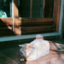 그대발길머무는곳에 | 부산 근교 양산 맛집 10 [그대발길 머무는곳에]