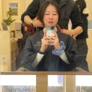 대성1호 | [위아르보 성신여대1호점] 열펌 리뷰_대성쌤 레이어드 C컬펌