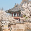 수강재 | 창덕궁 봄을 품은 낙선재 후기 낙선재 후원