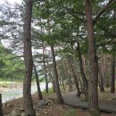 더존펜션 이미지