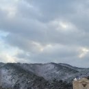 선경자판기 이미지