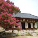 평주 | 34. 모악산의 주변 절집(1 귀신사)