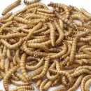 케일주식회사 이미지