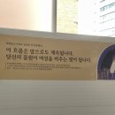 연어브로