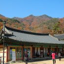 용문사 Daum카페