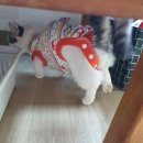 하트만동물병원 이미지