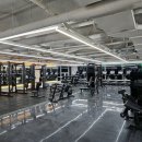 윌 휘트니스 이미지