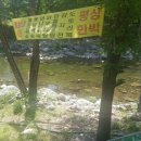 털보네민박 - 신안군 대광해수욕장길 174 | 털보네민박
