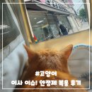 필동물종합병원 이미지