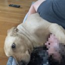 제이비스(JBIS) 호텔 이미지