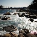 주문진터미널 이미지