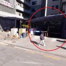 폴리프라자Ⅱ 이미지