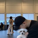 어썸하개 이미지