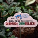 행정정보도서관시정담벼락 이미지