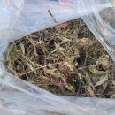 (주)질경이 이미지