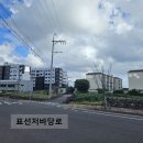 표선리-2 이미지