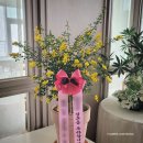 레스피로(RESPIRO) 이미지