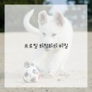 SNS 활용법 이미지