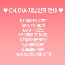 홈트레이닝(오전) 이미지