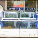 광명수산 이미지