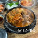 순대골 | 대전 읍내동 로컬 맛집 읍내순대골 가성비 최고 뼈다귀 해장국