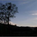 우포민박 이미지