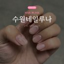 [금곡동 네일] 수원 크롬하츠네일아트 ‘네일루나’ 내돈내산 후기