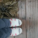 파인빌펜션 이미지