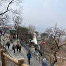 춘추투어 | 무텐위장성 & 자금성 (2)- 내돈내산 당일투어 후기 , 왕징역 출발 왕푸징/경산공원 해산 만리장성 근처...