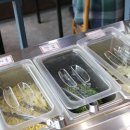 갑오징어짱 이미지