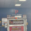 부르멍 펫택시 | 여수 이순신광장 오션뷰 일출 호텔 가성비 숙소 추천 '호텔케니 여수'