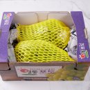 철이네푸드 이미지