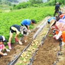 외암초등학교 이미지