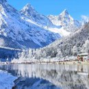 장미공원길 이미지