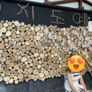도예목장 네이버블로그
