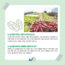 대가농원 네이버블로그