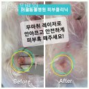 서초동물병원 이미지